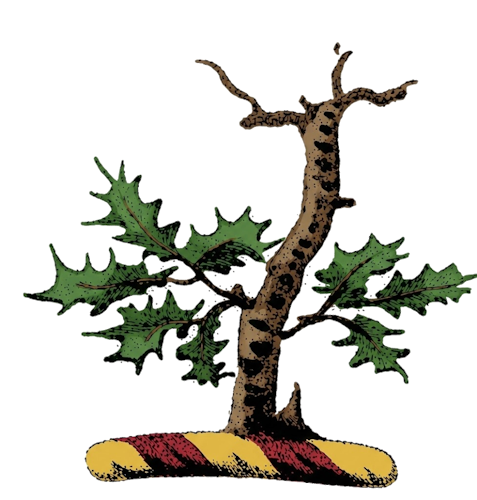 a withered holly branch (or stump) shooting out new leaves