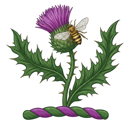 a bee upon the top of a thistle, all proper (or a thistle growing with a bee sucking the flower)