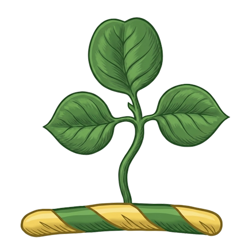 a trefoil, typically slipped (with a stalk)